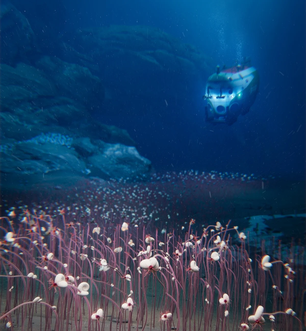 Deepest Known Animal Communities Discovered in Hadal Trenches by Chinese Submersible Fendouzhe Reveal Vibrant Ecosystems Powered by Chemosynthesis