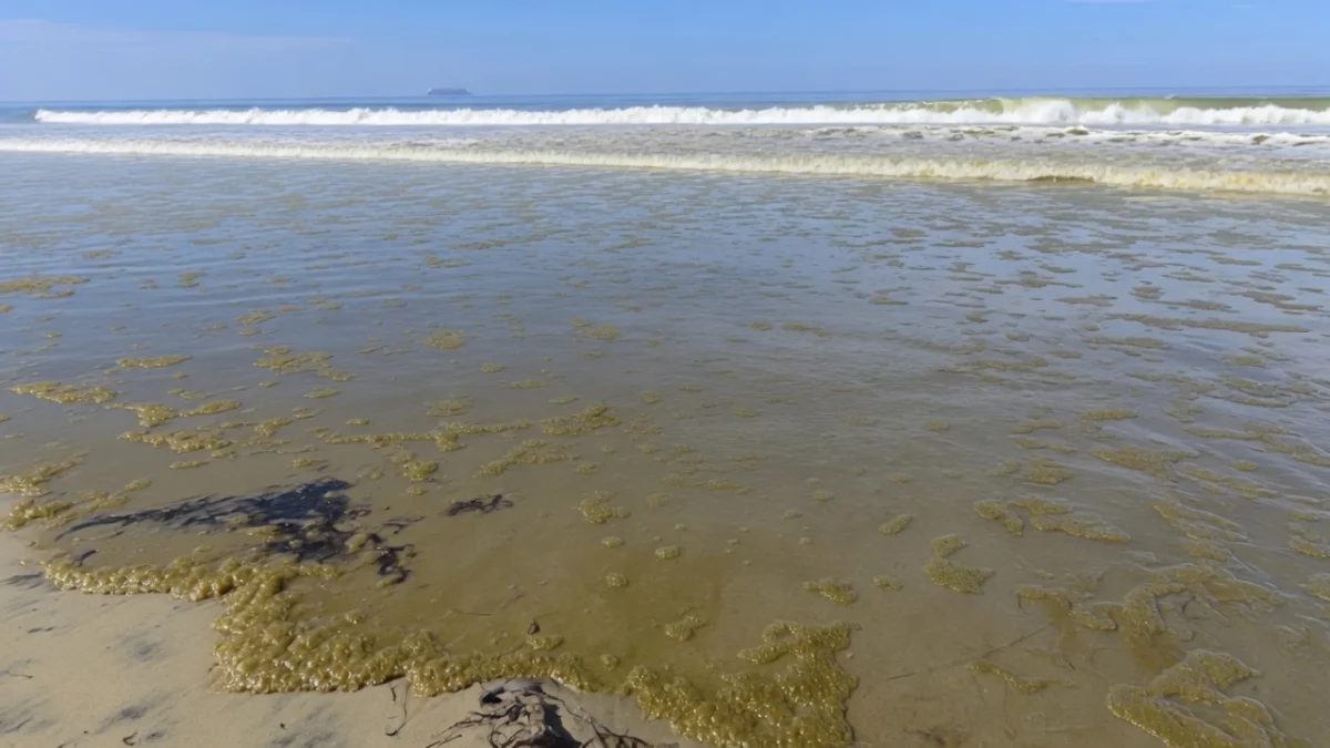 High Costs and Hazardous Air The Escalating Human and Environmental Toll of the Tijuana Sewage Crisis in San Diego County