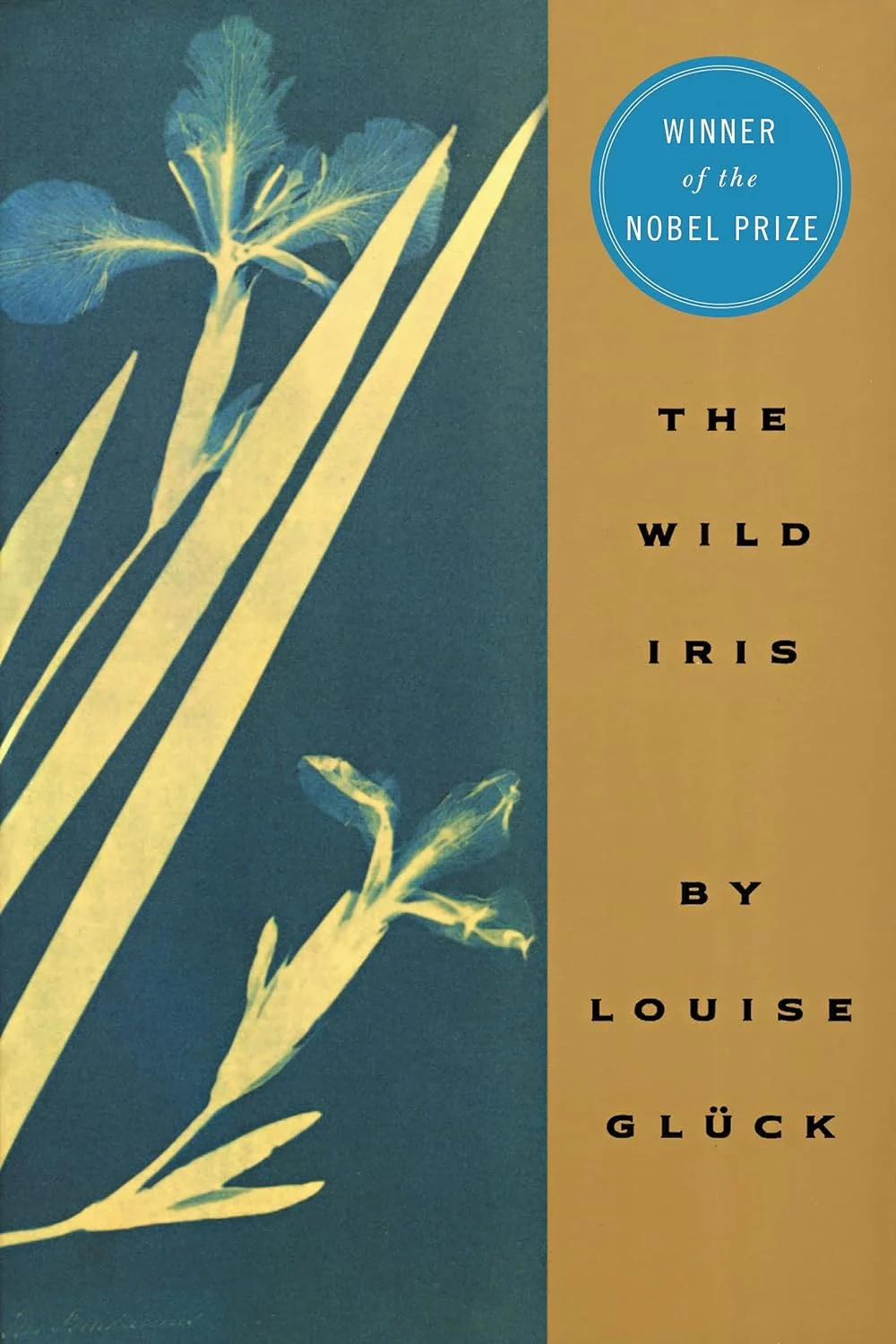 The Legacy of Nobel Laureate Louise Glück and the Enduring Resonance of The Wild Iris as a Meditation on Mortality and Rebirth