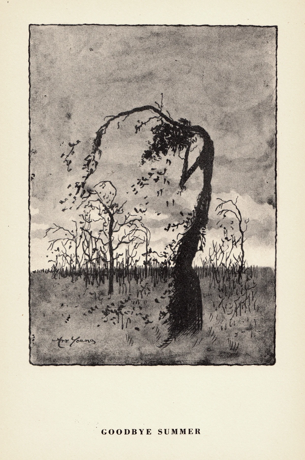 A Beginning Not a Decline Colette on the Splendor of Autumn and the Autumn of Life