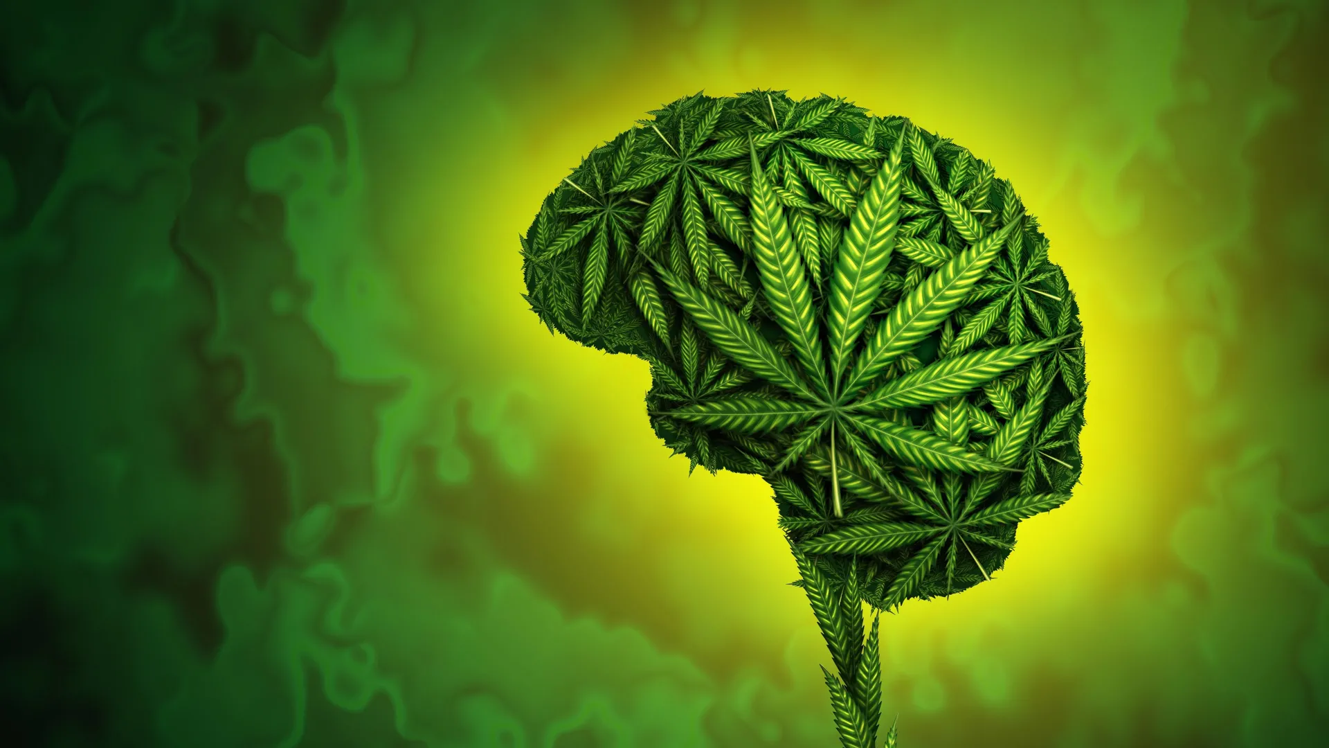 New Research Links Cannabis Use to Increased Risks of Violent Behavior and Victimization