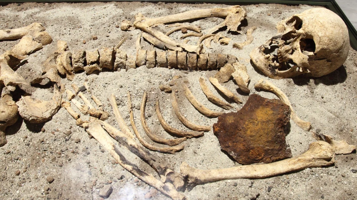 Unearthing the Undead: How History, Media, and Fear Shaped the Myth of the European Vampire