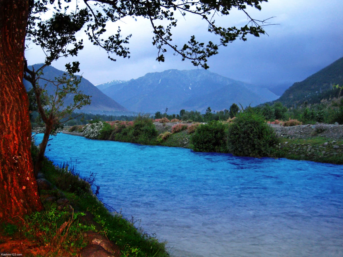 Upstream Solutions: How Hydrogeologists Are Mapping the Hidden Lifelines of Declining Himalayan Springs