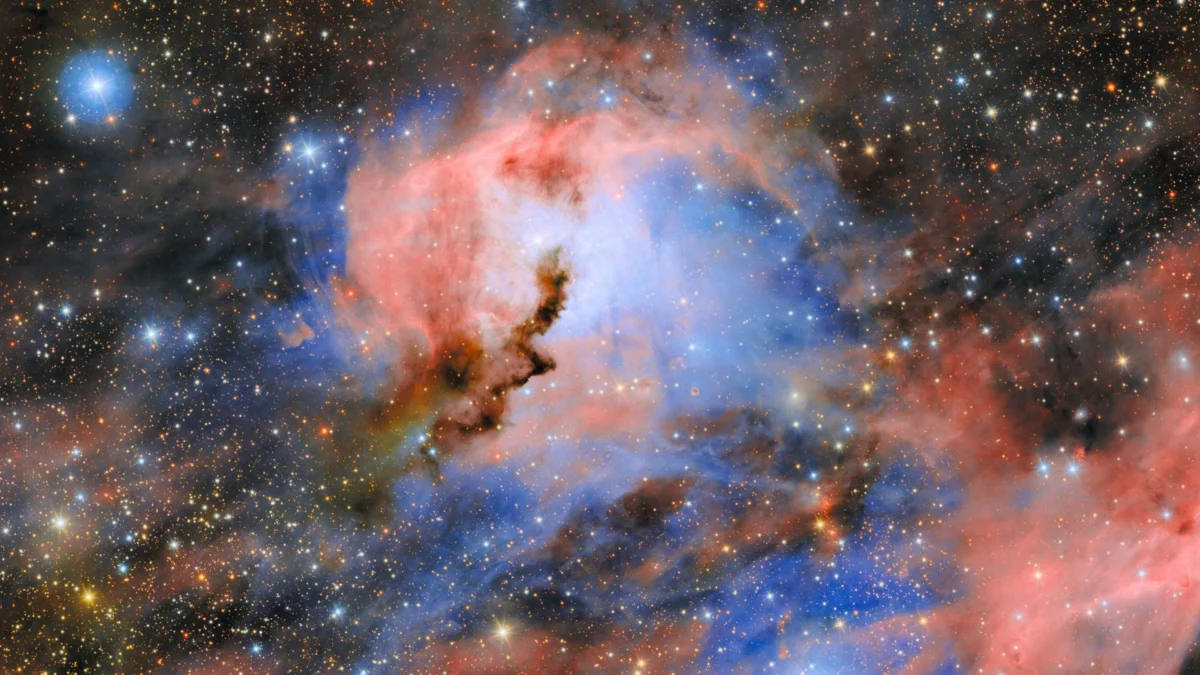 Vera C. Rubin Observatory Captures Stunned Cosmic Gaze of the Seagull Nebula in Early Test Image