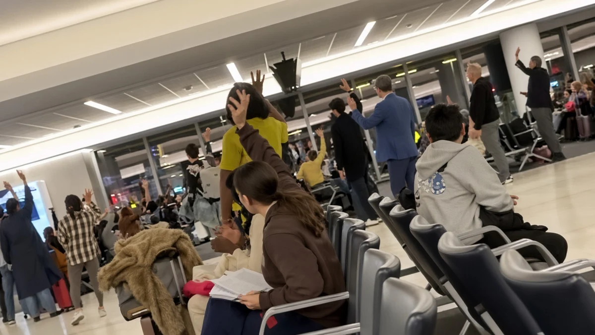 Would You Fly on a Urine-Soaked Plane to Get Home on Time: The Growing Conflict Between Pet Travel and Cabin Hygiene